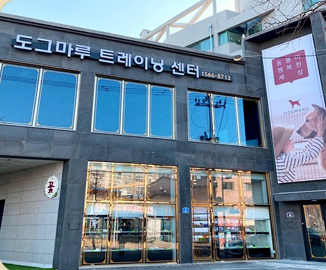 도그마루 트레이닝 센터