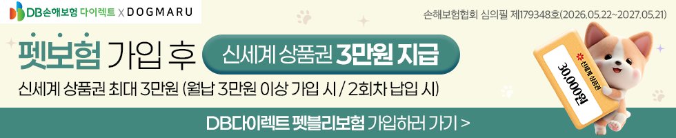 펫보험 가입 후 신세계 상품권 3만원 지급