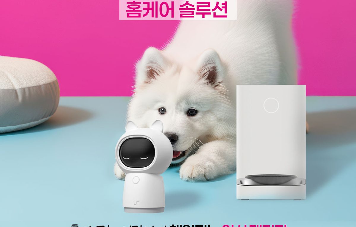 홈캠과 자동급식기, 사모예드