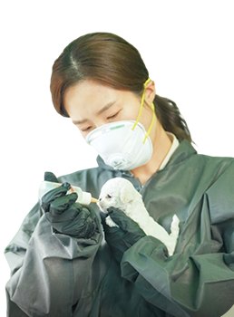 수유실 전문 브리더