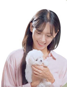 소형견 전문 브리더