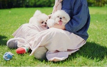 잔디밭에서 보호자 품에 안긴 강아지들