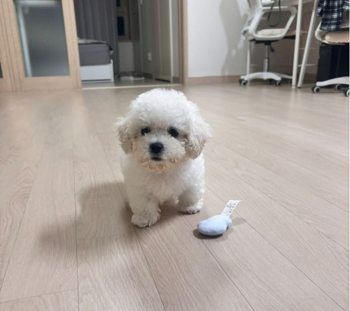 부산본점에서 분양한 아이